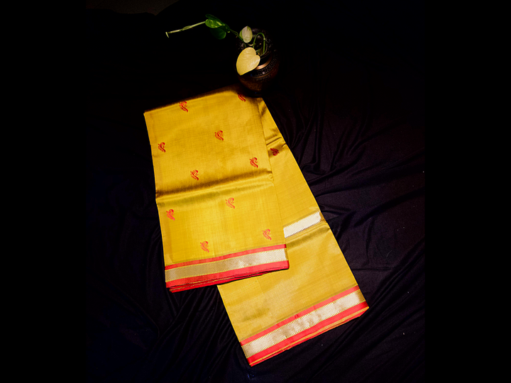 Double border with Golden colour saree