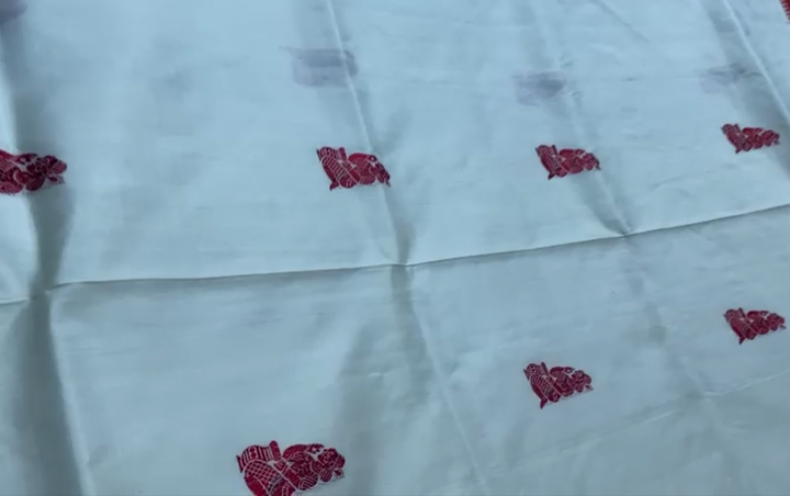 Soft Gorod Saree with thread work